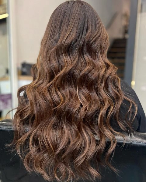 Honey Blonde Highlights